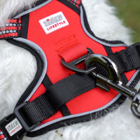 Zigly Lifestyle Scarlet Adjustable Padded Harness
