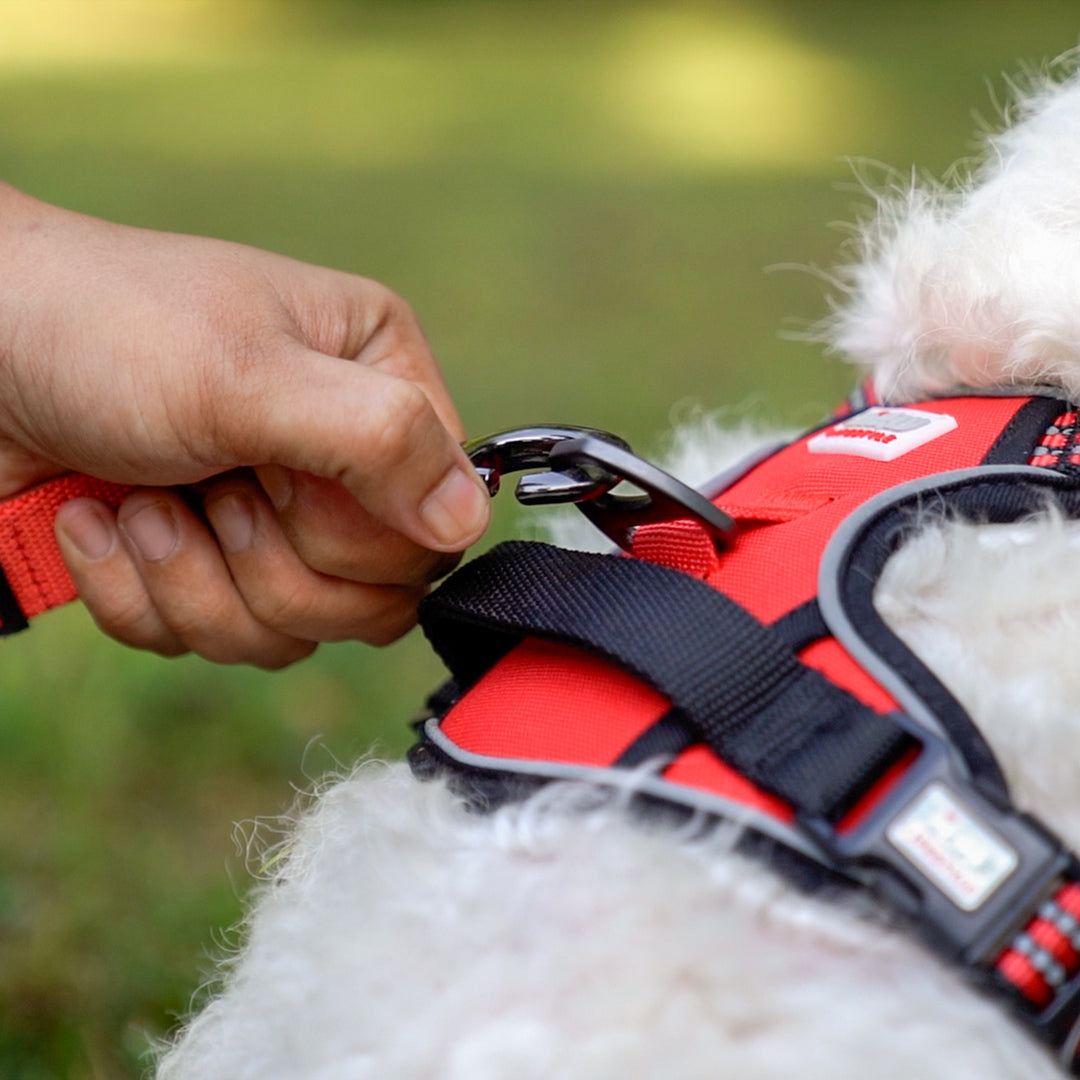 Zigly Lifestyle Scarlet Adjustable Padded Harness