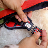 Zigly Lifestyle Scarlet Adjustable Padded Harness