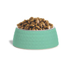 ZL Retro Pyramid Sage Melamine Dog Bowl - Zigly