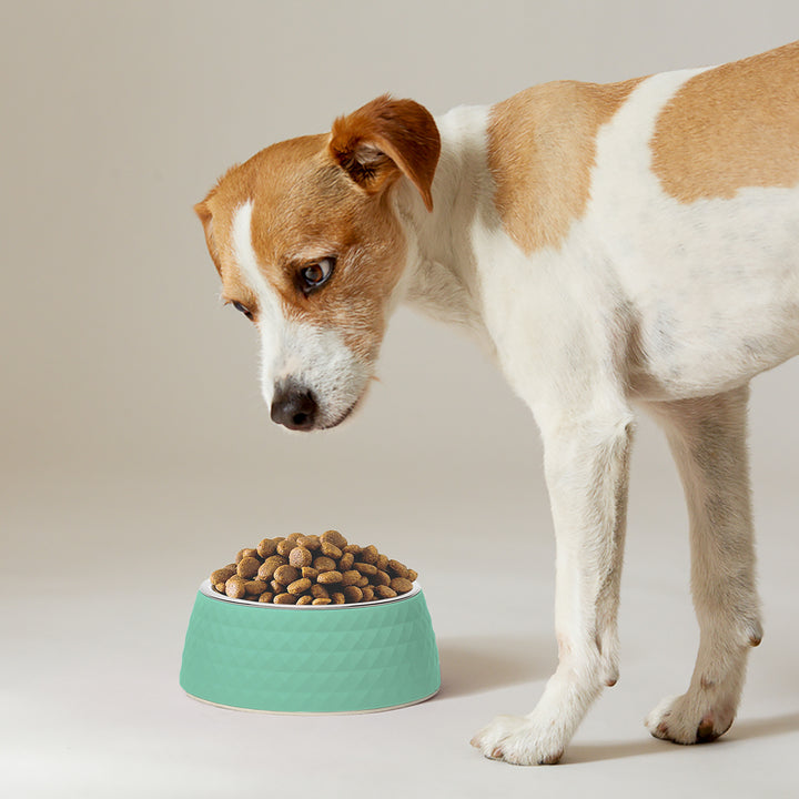 ZL Retro Pyramid Sage Melamine Dog Bowl