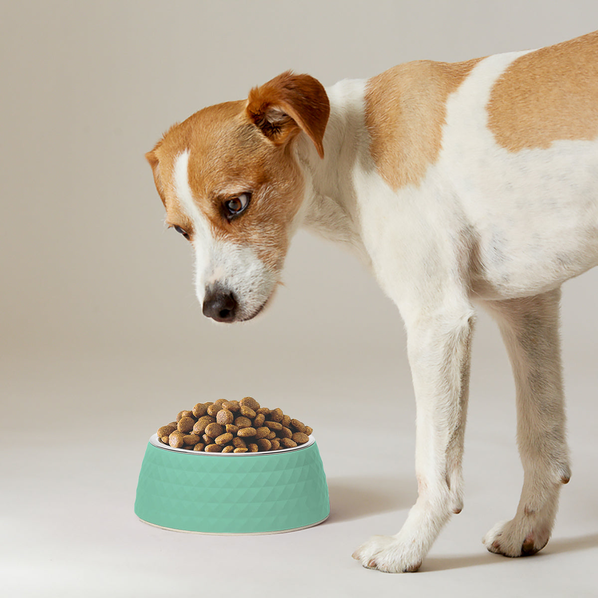 ZL Retro Pyramid Sage Melamine Dog Bowl