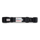 ZL Classic Padded Dog Collar  Black - Zigly