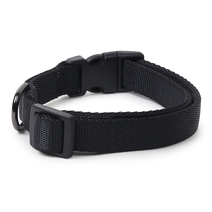 ZL Classic Padded Dog Collar – Black