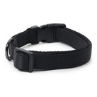 ZL Classic Padded Dog Collar  Black - Zigly
