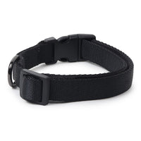ZL Classic Padded Dog Collar – Black