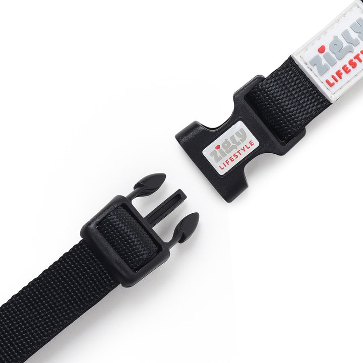ZL Classic Padded Dog Collar – Black