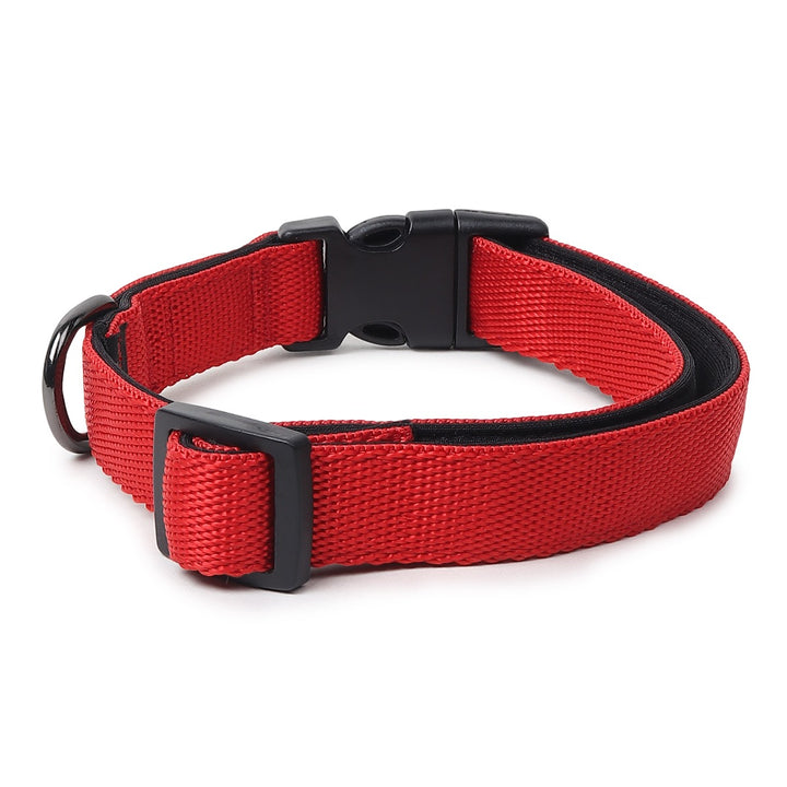 ZL Classic Padded Dog Collar – Red 