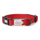 ZL Classic Padded Dog Collar  Red  - Zigly