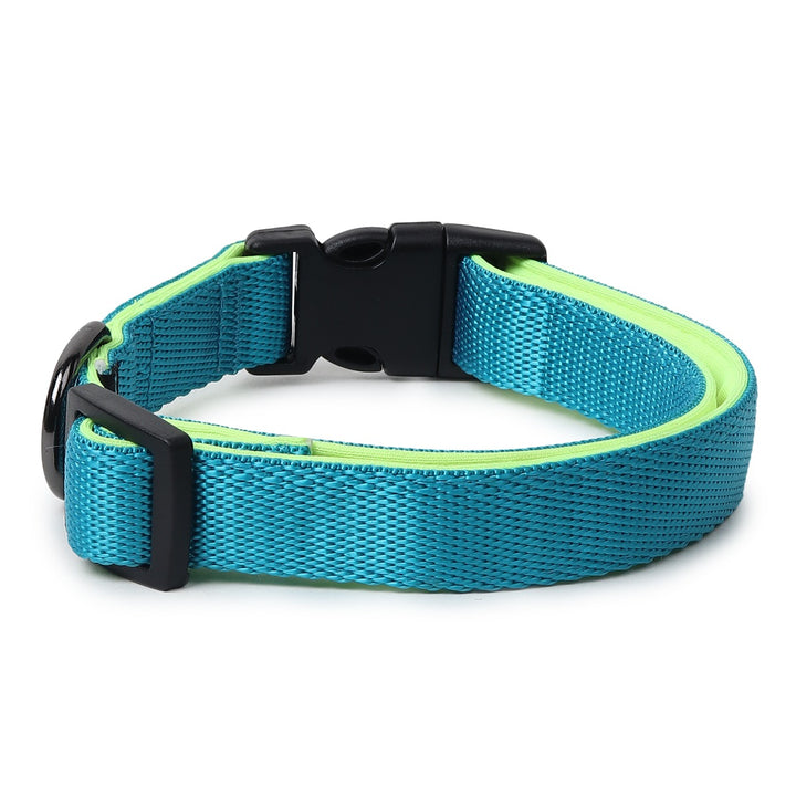 ZL Classic Padded Dog Collar – Neon Green