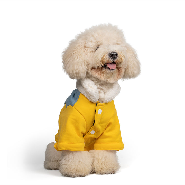 Zl Winterized Denim - Sherpa Dog Jacket Yellow