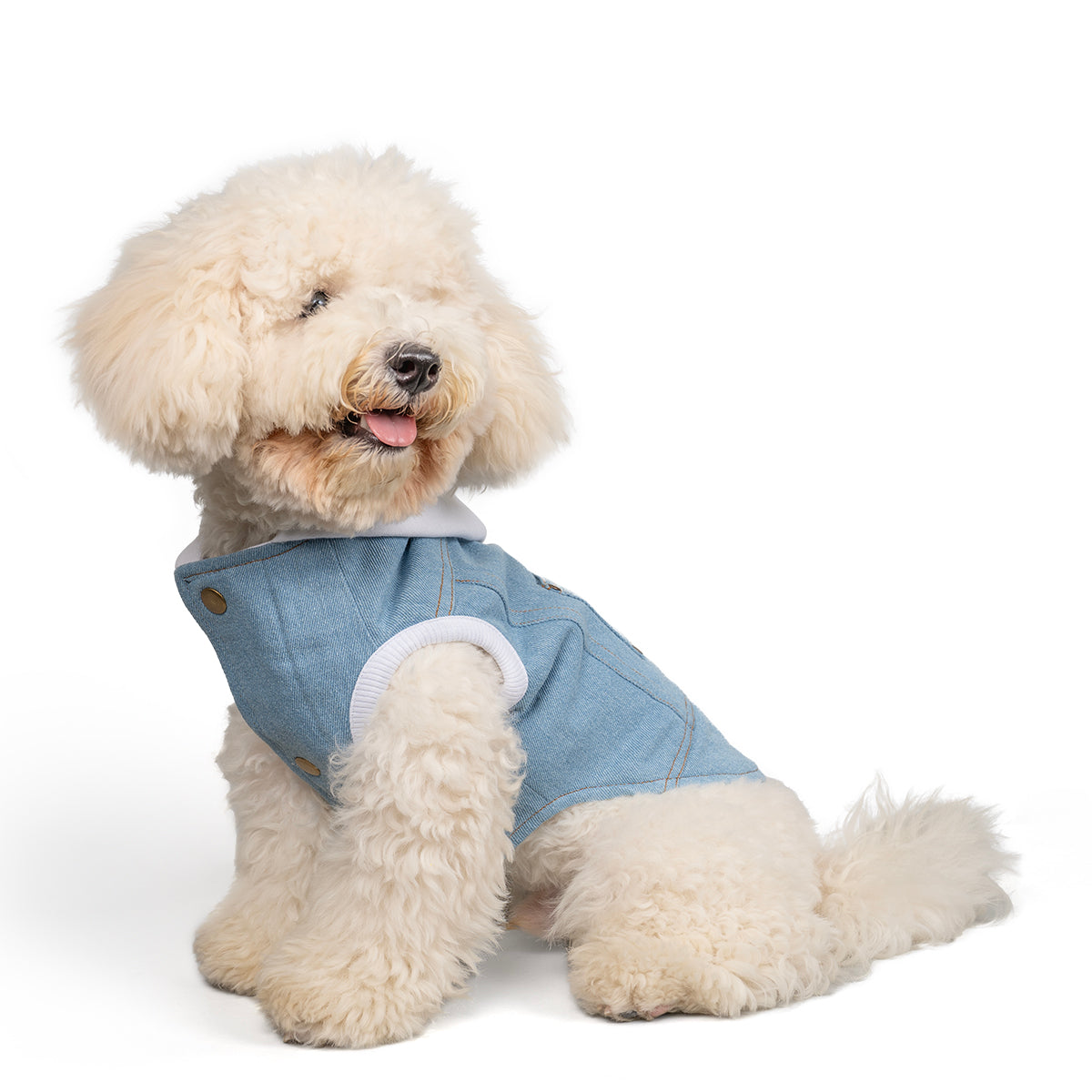 Zl Winterized Denim Dog Hoodie Blue