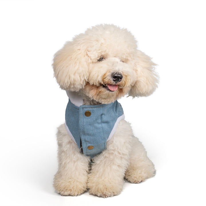 Zl Winterized Denim Dog Hoodie Blue