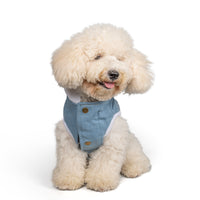 Zl Winterized Denim Dog Hoodie Blue