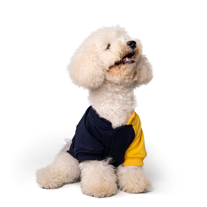 ZL Winterized DuoTone Dog Sweatshirt Yellow