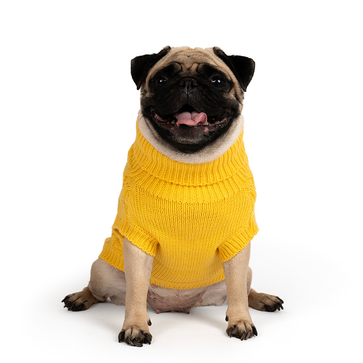 ZL Winterized Buttercup Cable Knit Dog Sweater