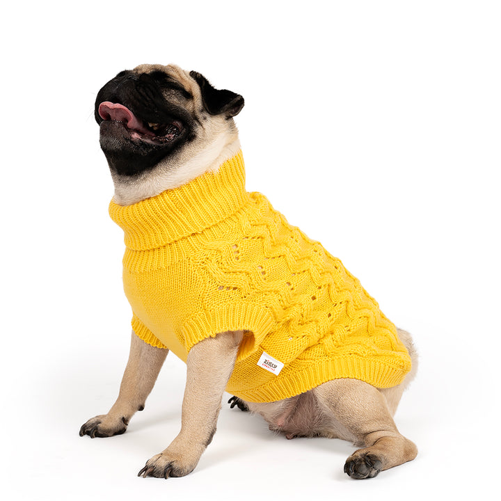 ZL Winterized Buttercup Cable Knit Dog Sweater