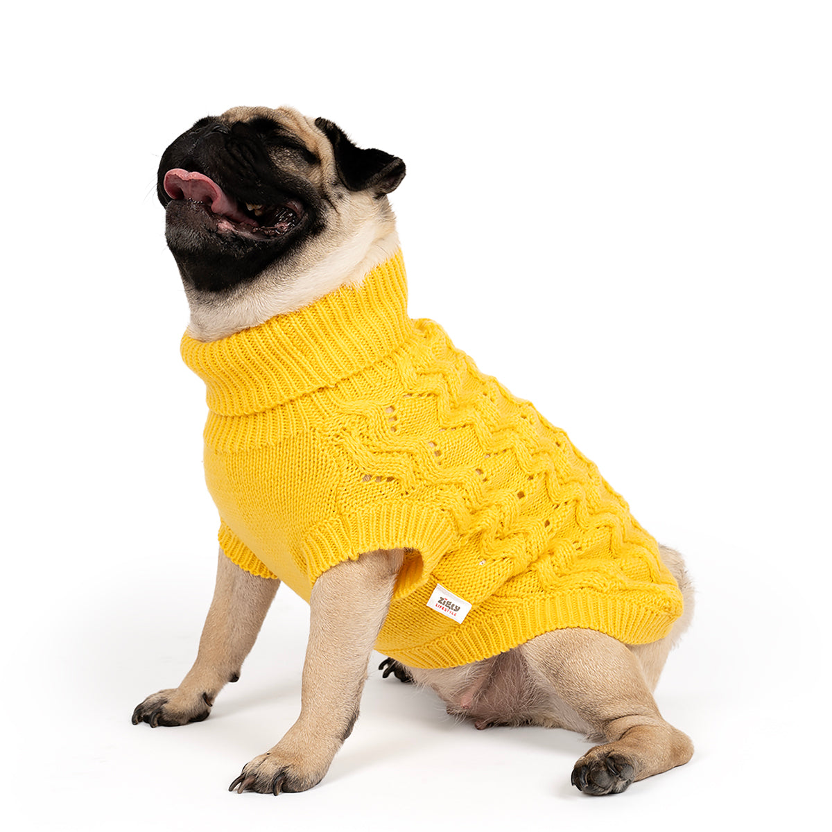 ZL Winterized Buttercup Cable Knit Dog Sweater