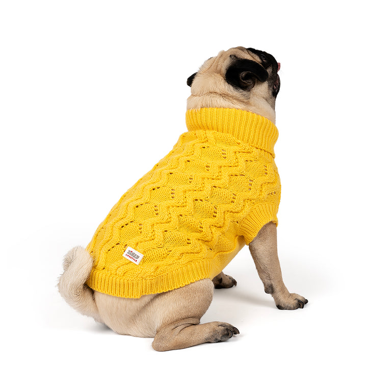 ZL Winterized Buttercup Cable Knit Dog Sweater