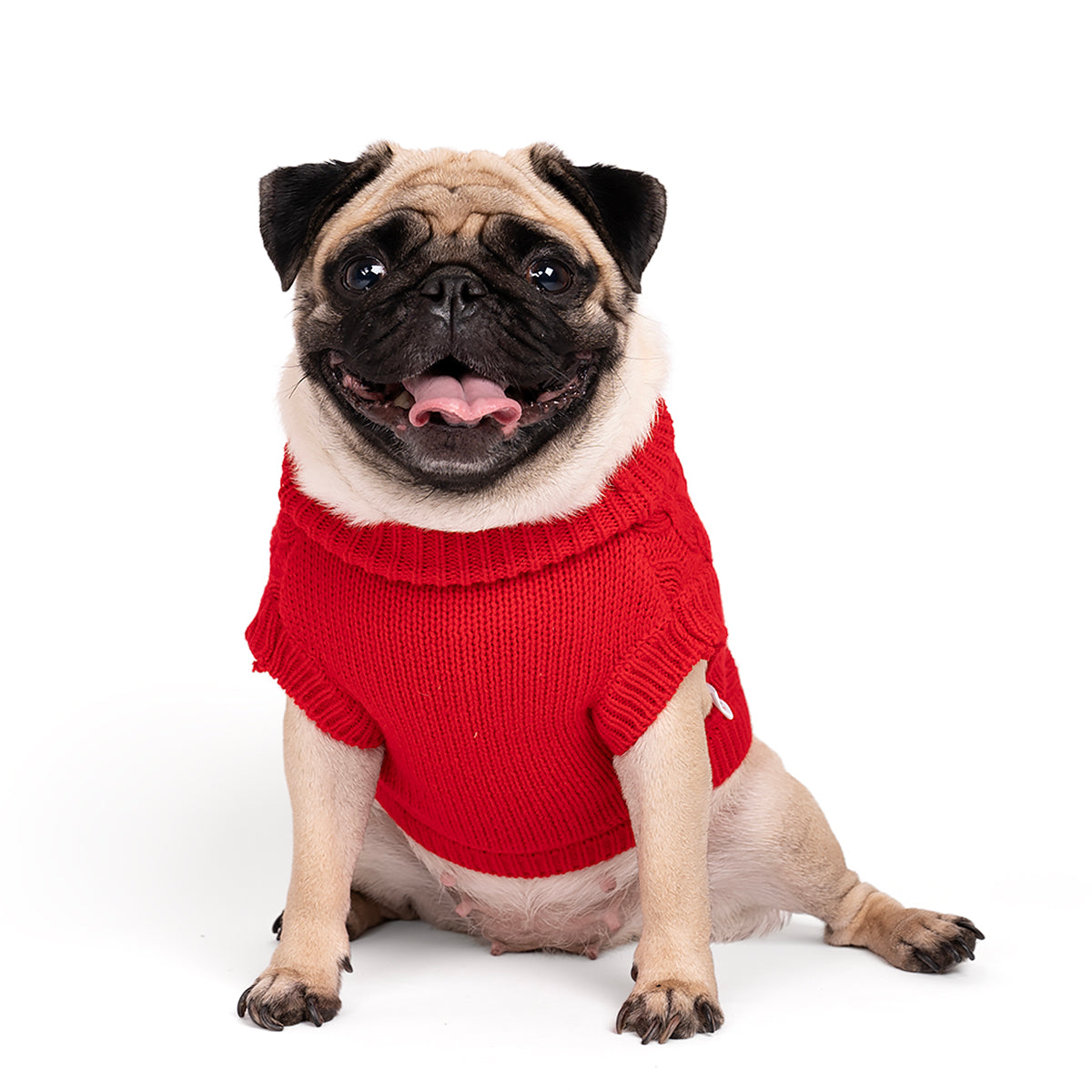 ZL Winterized Crimson Cozy Red cable knit Dog Sweater