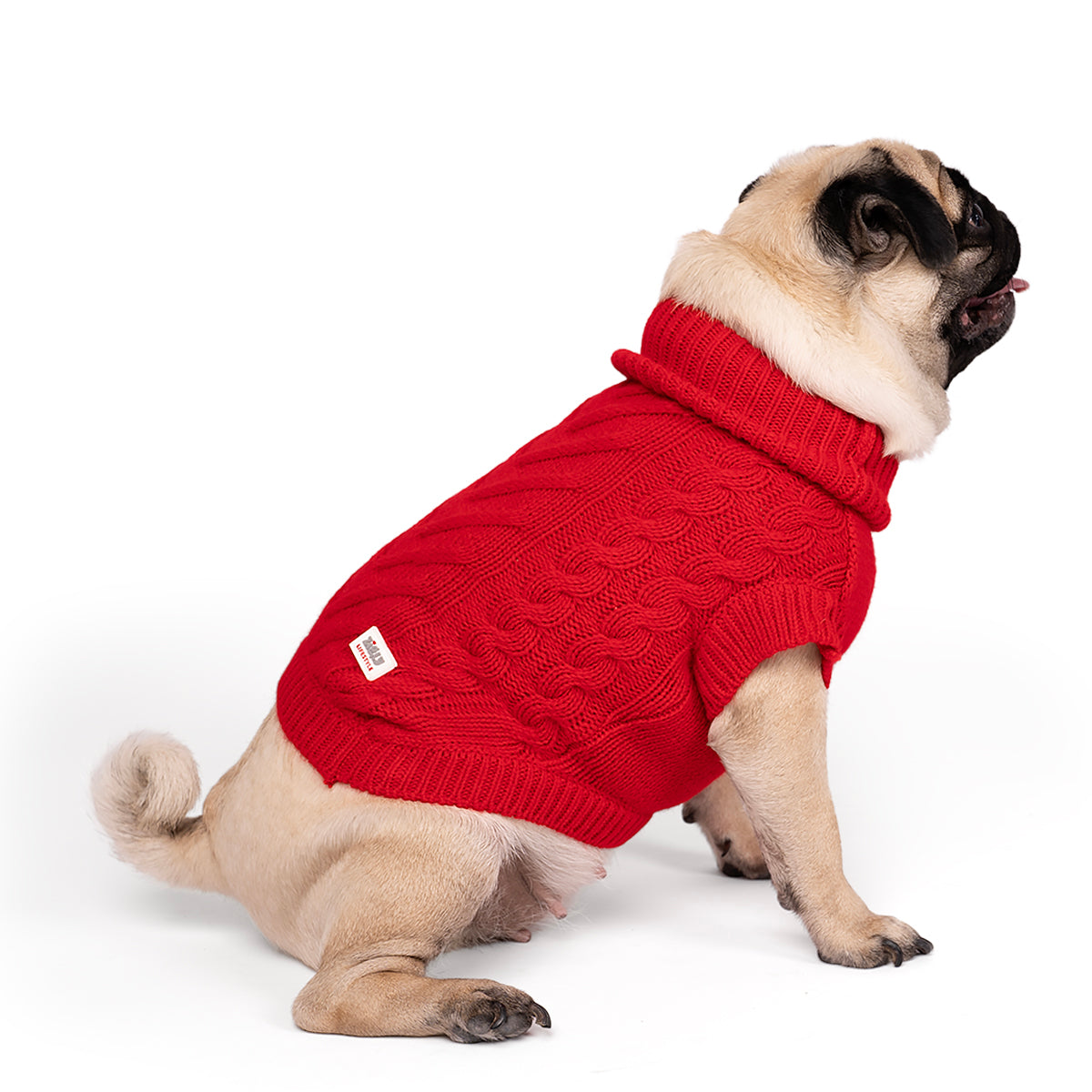 ZL Winterized Crimson Cozy Red cable knit Dog Sweater