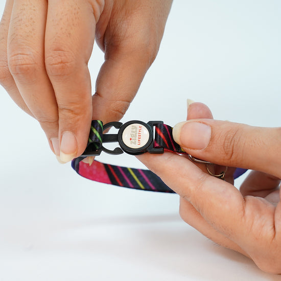 ZL Colour Slice Cat Collar with Bell
