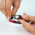ZL Colour Slice Cat Collar with Bell - Zigly