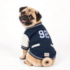 Zigly Lifestyle navy blue varsity jacket with number 92 worn by a pug dog.