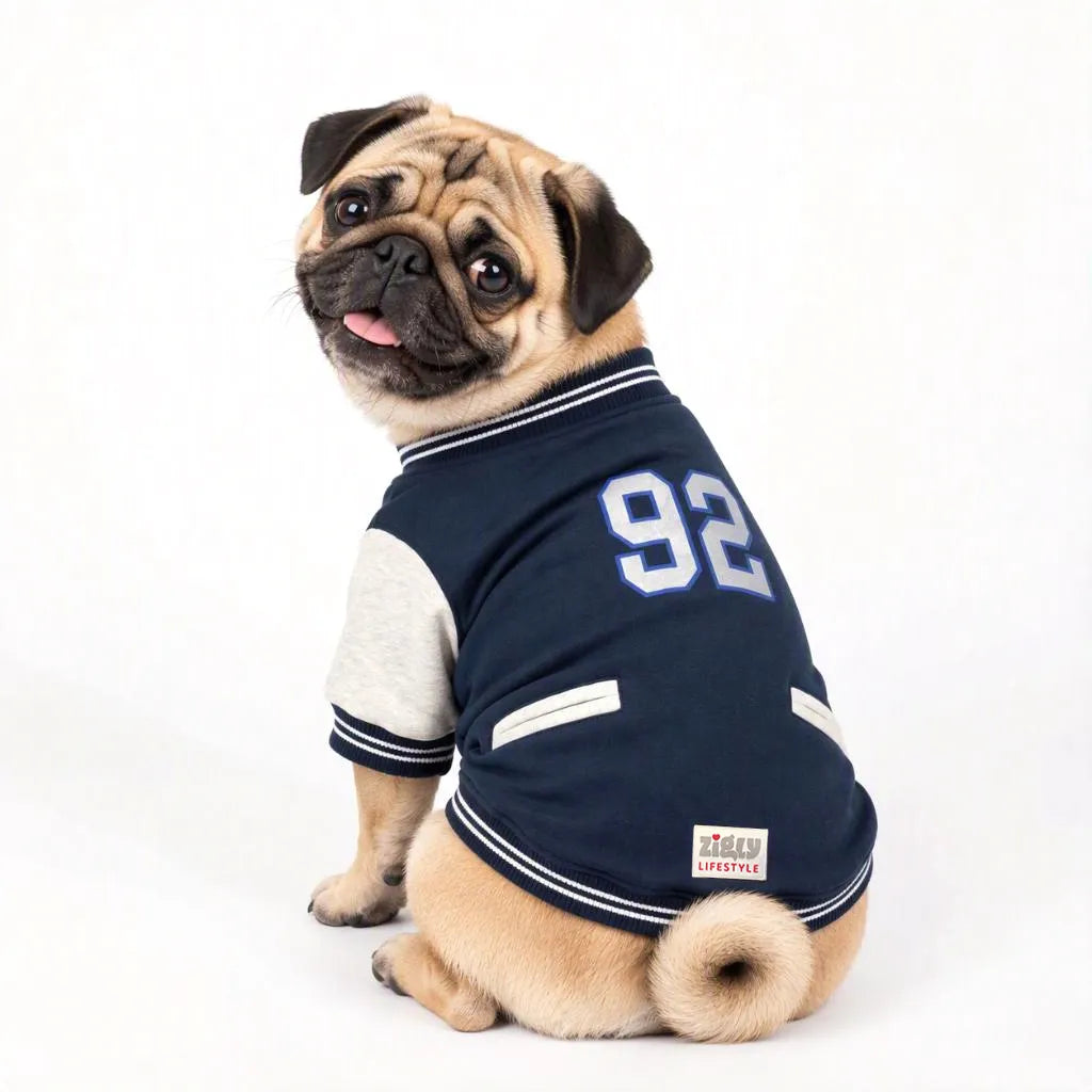 Zigly Lifestyle navy blue varsity jacket with number 92 worn by a pug dog.