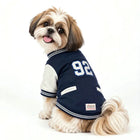 Small dog wearing a navy Zigly Lifestyle varsity jacket with number 92