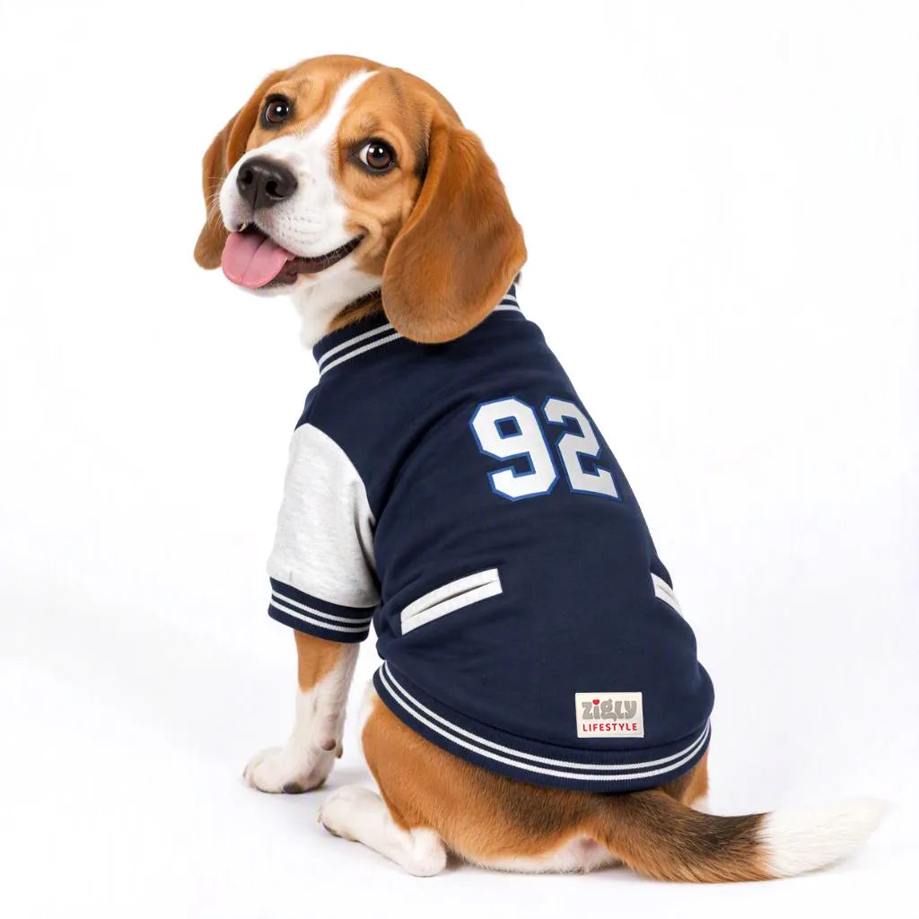 Beagle wearing Zigly Lifestyle ZL Varsity Campus Pup Navy Jacket with number 92.