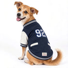 A dog wearing a Zigly Lifestyle navy blue varsity jacket with the number 92.