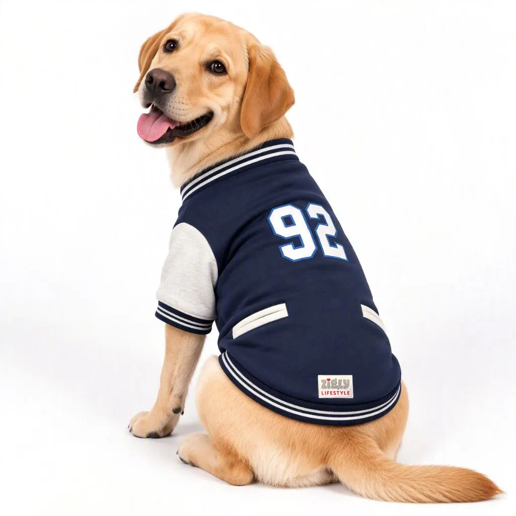 Zigly Lifestyle navy blue ZL Varsity Campus Pup dog jacket with number 92 on a Labrador.