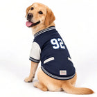 Zigly Lifestyle navy blue ZL Varsity Campus Pup dog jacket with number 92 on a Labrador.