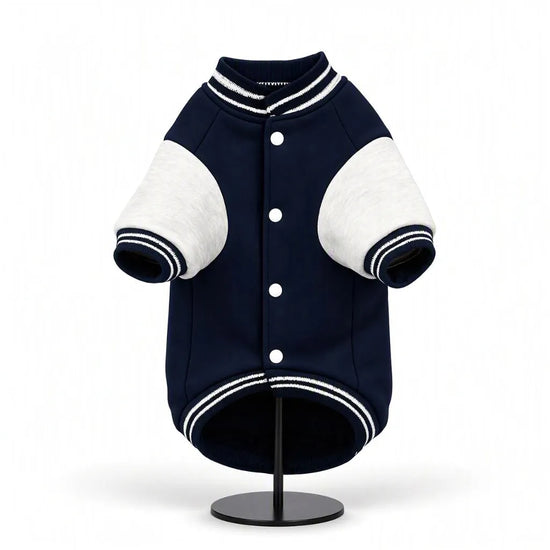 Zigly Lifestyle ZL Varsity Campus Pup Navy Jacket for dogs with white sleeves.