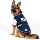 German Shepherd wearing Zigly Lifestyle navy blue varsity pup jacket with number 92.