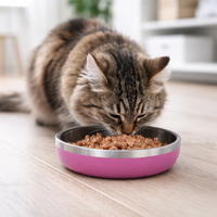 ZL Meow Dish Double Walled Cat Bowl - Pink Punch