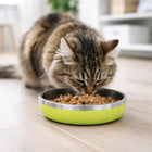 ZL Meow Dish Double Walled Cat Bowl - Lime