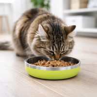 ZL Meow Dish Double Walled Cat Bowl - Lime