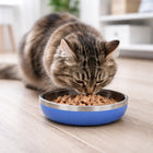 ZL Meow Dish Double Walled Cat Bowl - Voilet