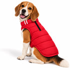 Beagle wearing a red Zigly Lifestyle Cozy Shield dog jacket
