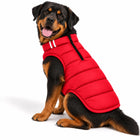 Rottweiler dog wearing a red Zigly Lifestyle Cozy Shield dog jacket