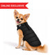 Small tan dog wearing a Zigly Lifestyle black ZL Trail Buddy puffer jacket