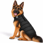 German Shepherd wearing a black Zigly Lifestyle ZL Trail Buddy dog jacket