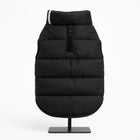 Zigly Lifestyle ZL Trail Buddy black quilted dog jacket on a display stand