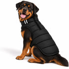 Rottweiler wearing a black Zigly Lifestyle ZL Trail Buddy Dog Jacket.