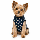 ZL Tropical Farm Daisy Flower Dog T-Shirt