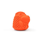 ZL Spike Buddy Dog Chew Toy
