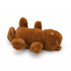 ZL Bucky Beaver Plush Toy for Dogs