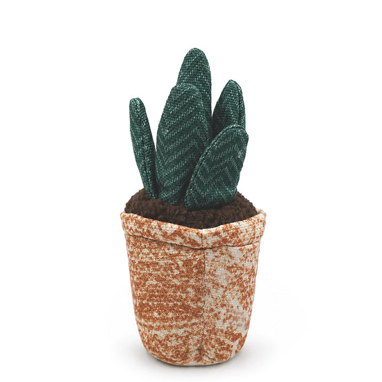 ZL Spikey Cactus Plush Toy for Dogs